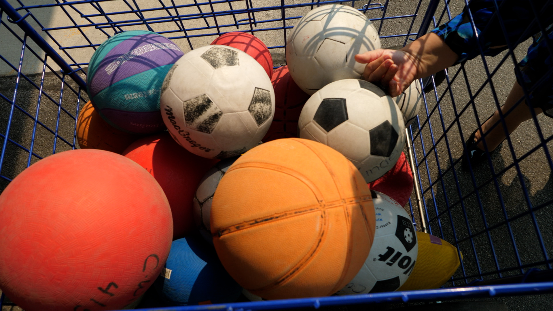 A variety of balls for Physical Education